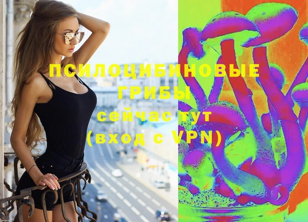 эйфоретик Алексин