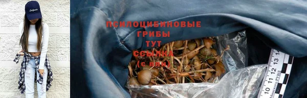 эйфоретик Алексин