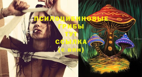 эйфоретик Алексин