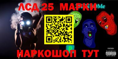 индика Вязники