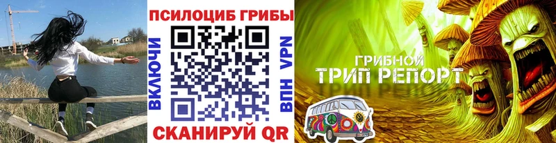 Псилоцибиновые грибы мицелий Белгород